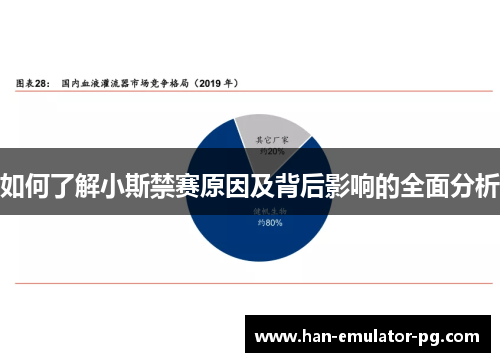 如何了解小斯禁赛原因及背后影响的全面分析