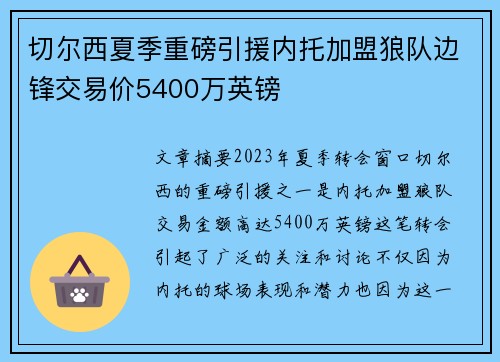 切尔西夏季重磅引援内托加盟狼队边锋交易价5400万英镑