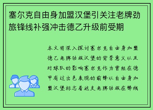 塞尔克自由身加盟汉堡引关注老牌劲旅锋线补强冲击德乙升级前受期
